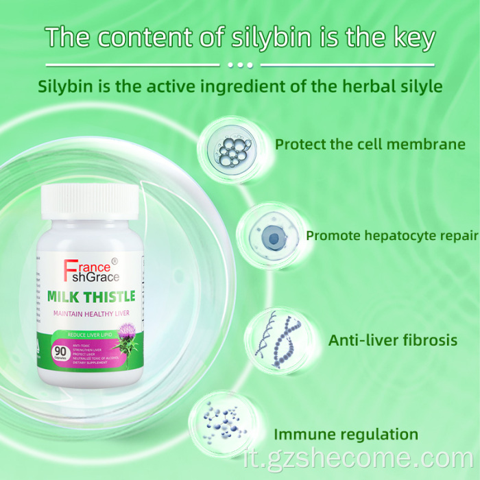 Funzione epatica del thytle di cardo a latte biologico